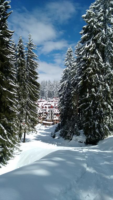 The Castle Complex - Apartment 401 Pamporovo Extérieur photo