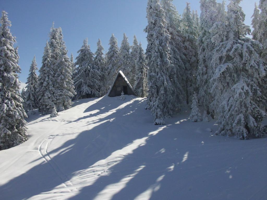 The Castle Complex - Apartment 401 Pamporovo Chambre photo
