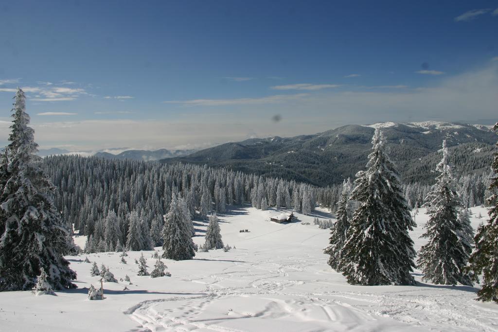 The Castle Complex - Apartment 401 Pamporovo Chambre photo