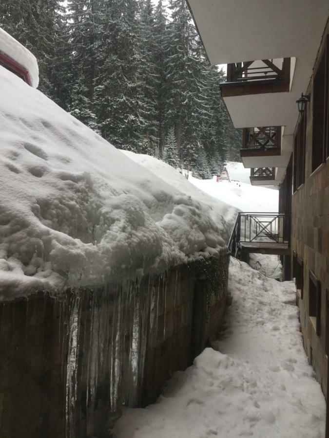 The Castle Complex - Apartment 401 Pamporovo Extérieur photo